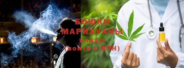 индика Михайловка