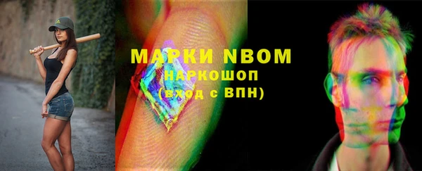 индика Михайловка