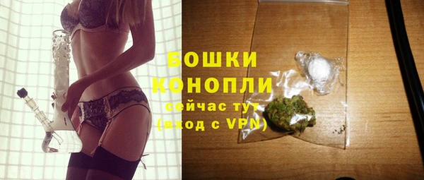 индика Михайловка